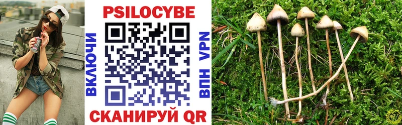 что такое   Черногорск  Псилоцибиновые грибы Psilocybine cubensis 